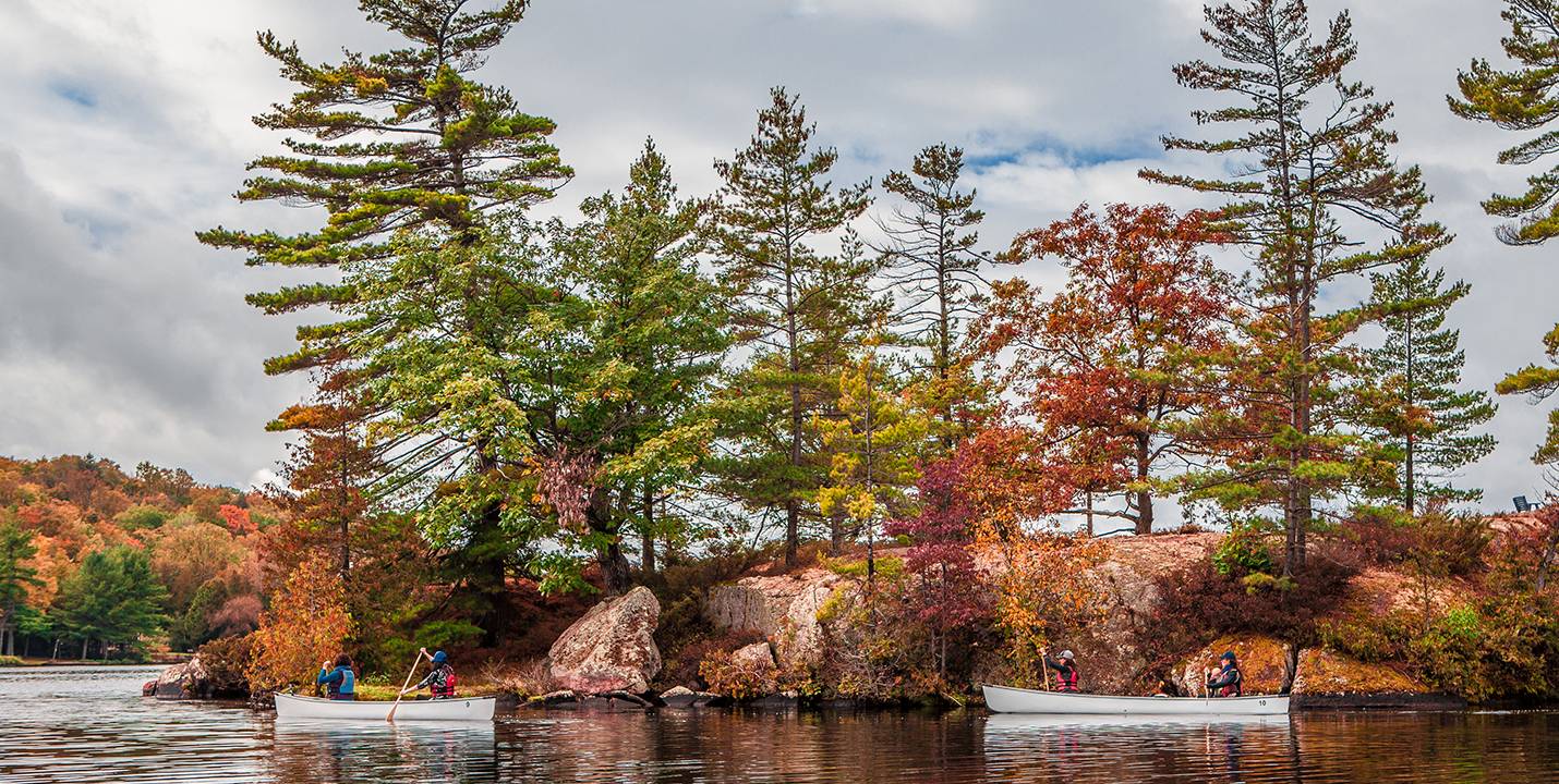 Two canoes glide past a small rocky island, with the treeline showing fall colours