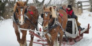 Two horses pull a sled through snow with smiling riders in back