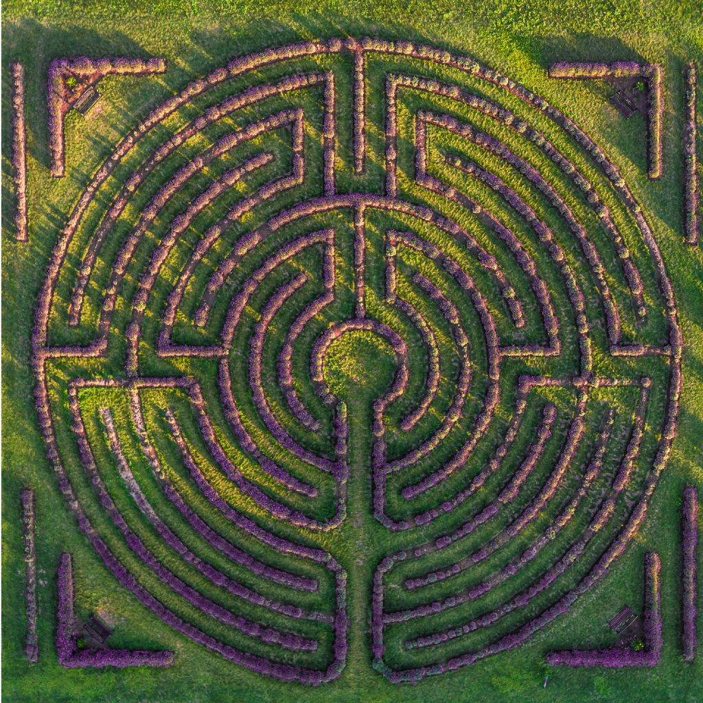 Overhead view of lavender labyrinth at Laveanne, Port Hope