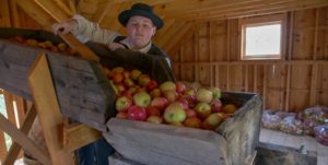 A boy in period dress guides apples into an old-fashioned cider press