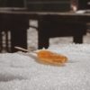 Maple syrup candy on a tray of clean snow