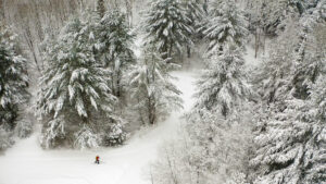 Drone shot of a snowy forest with a small skier below
