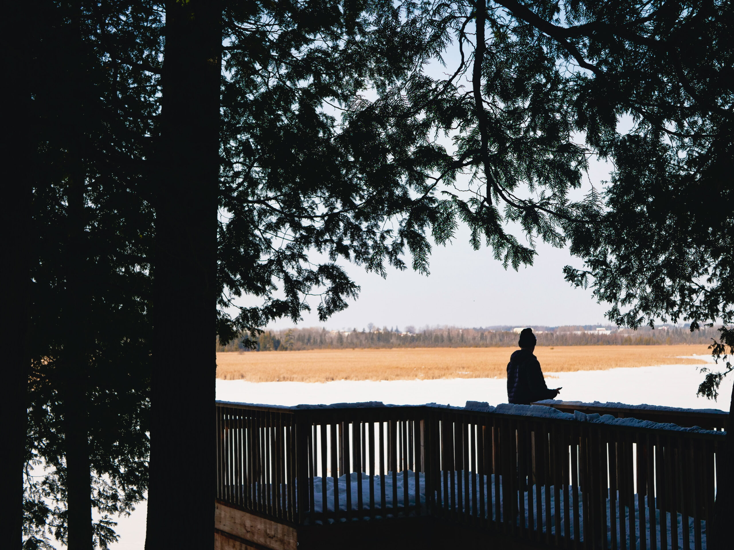 A silhouette of a person on a lookout over at wetland at Ken Reid Conservation Area