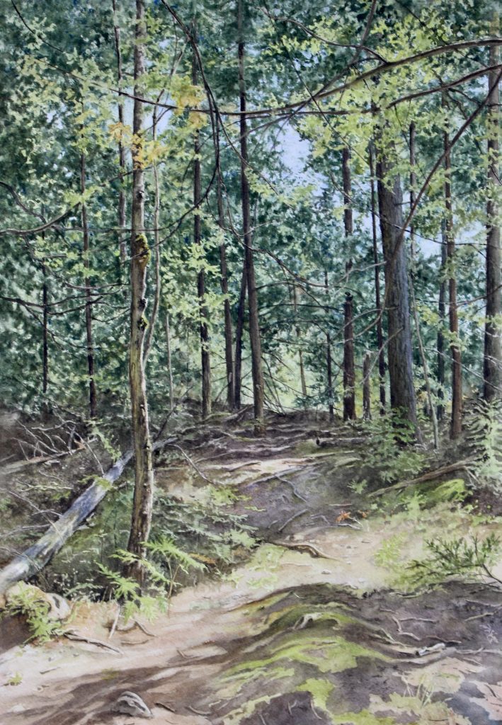 Watercolour painting of a forest trail
