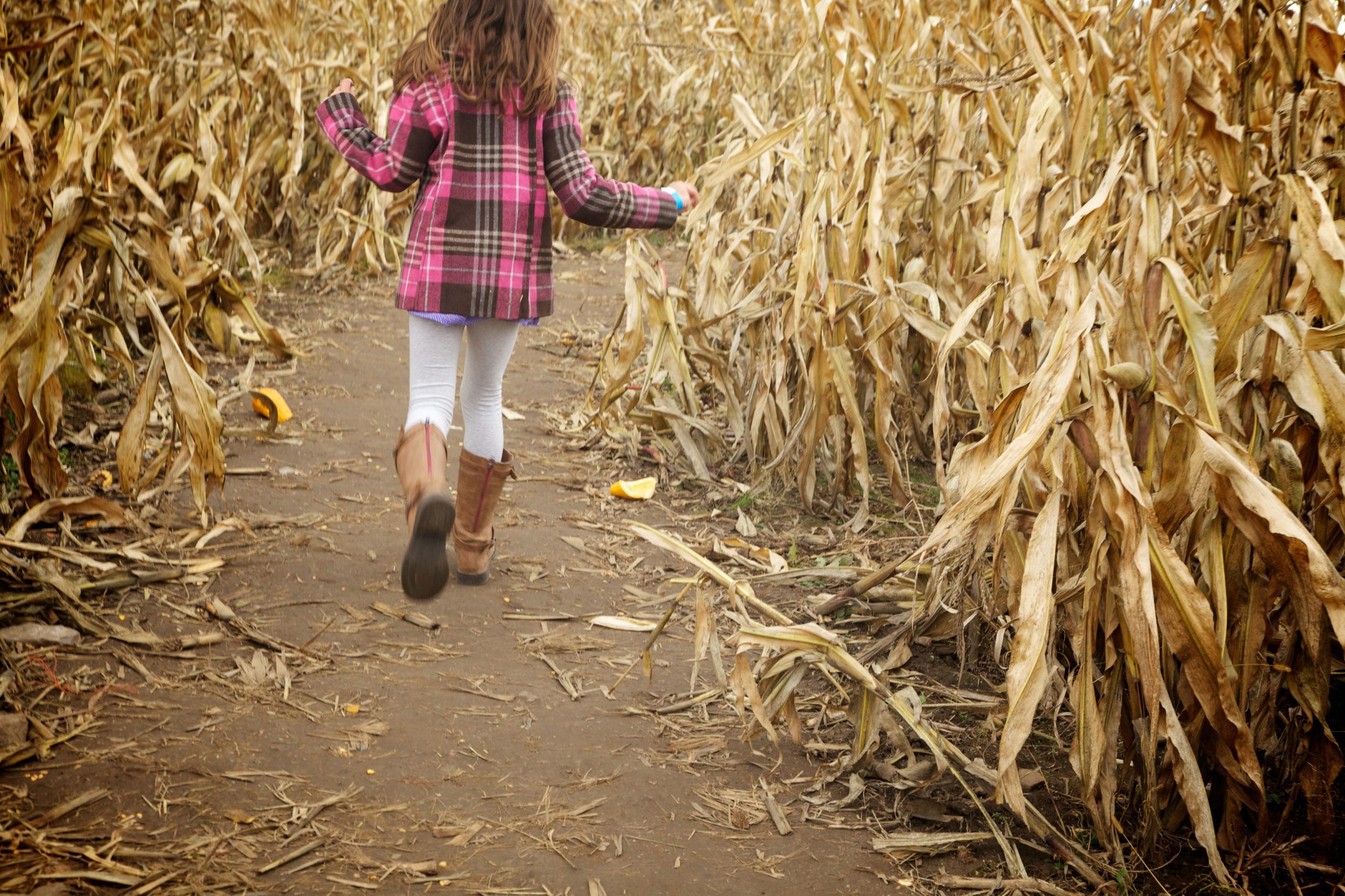 A young girl runs through a corn maze