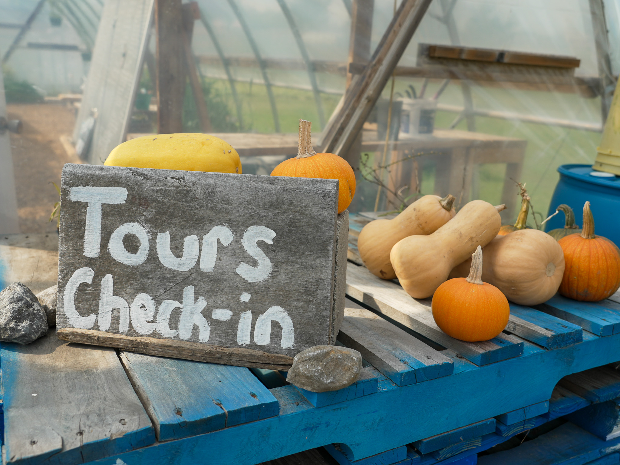 A hand-painted sign reading "Tours Check-In," surrounded by gourds