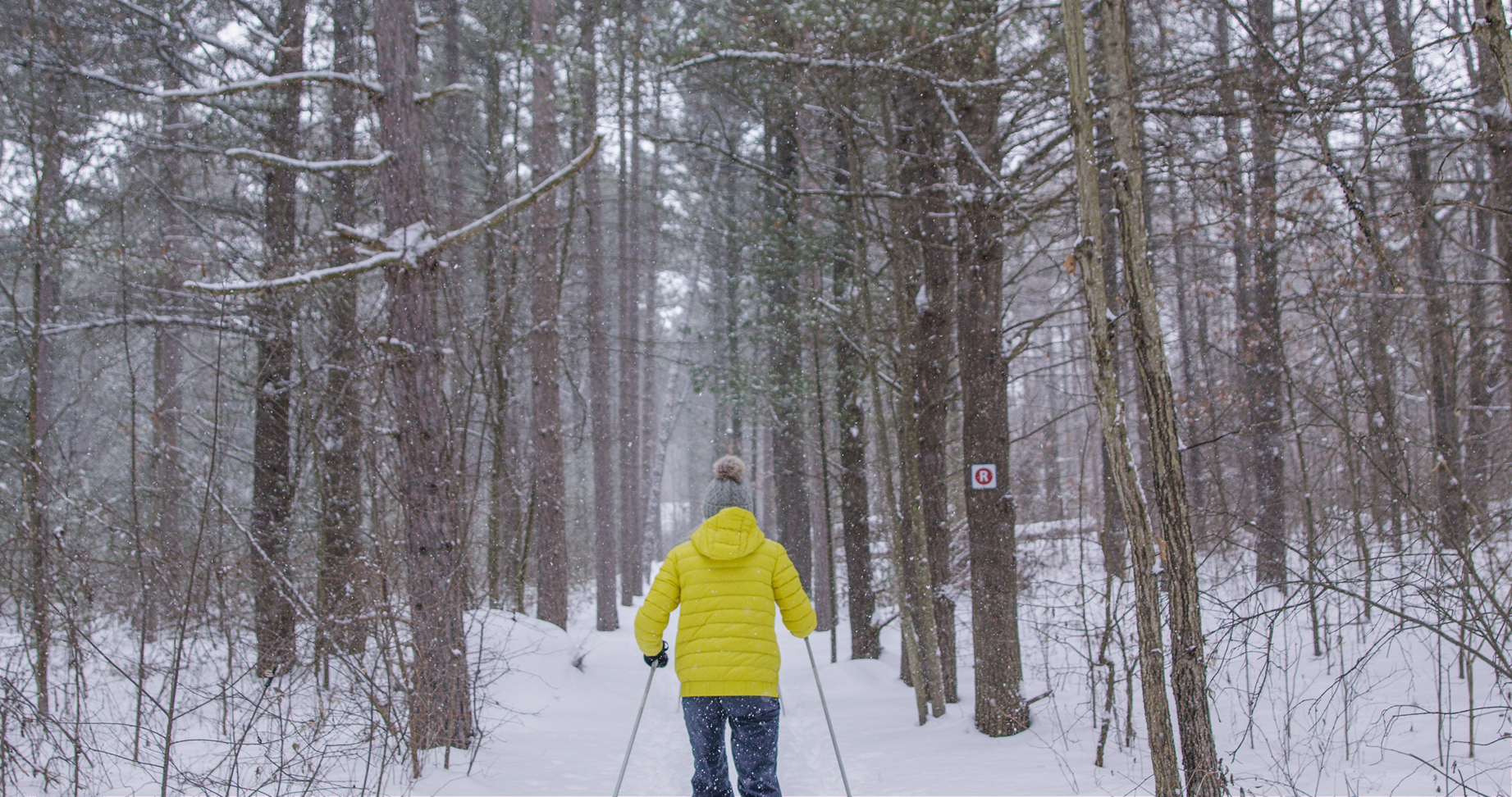 A skier in a yellow jacket heads down a corridor of trees
