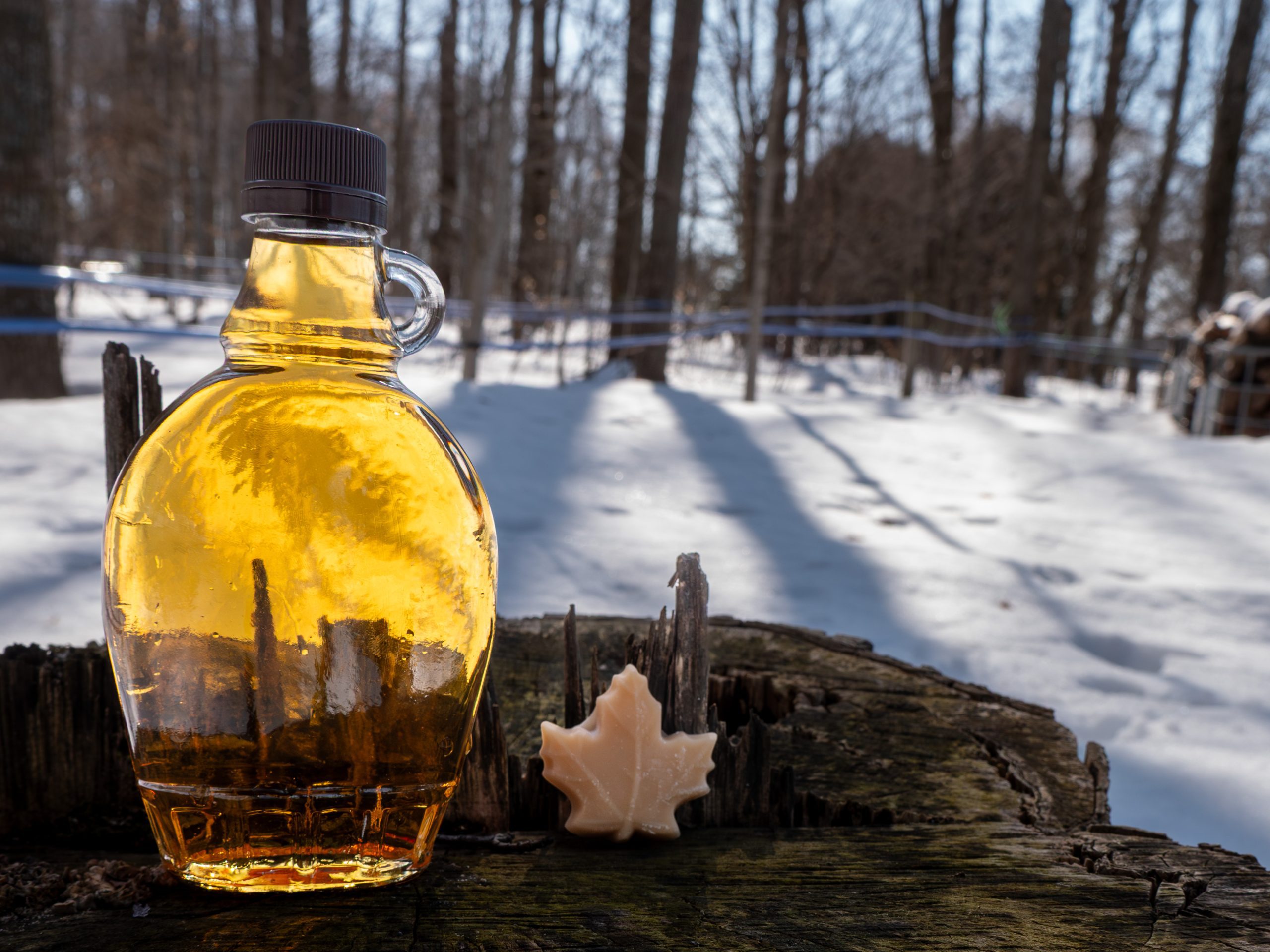 A bottle of maple syrup and leaf-shaped maple candle sit on a stump against a snowy backdrop