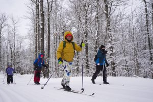 A group of four skiers progresses along a groomed woodland trail