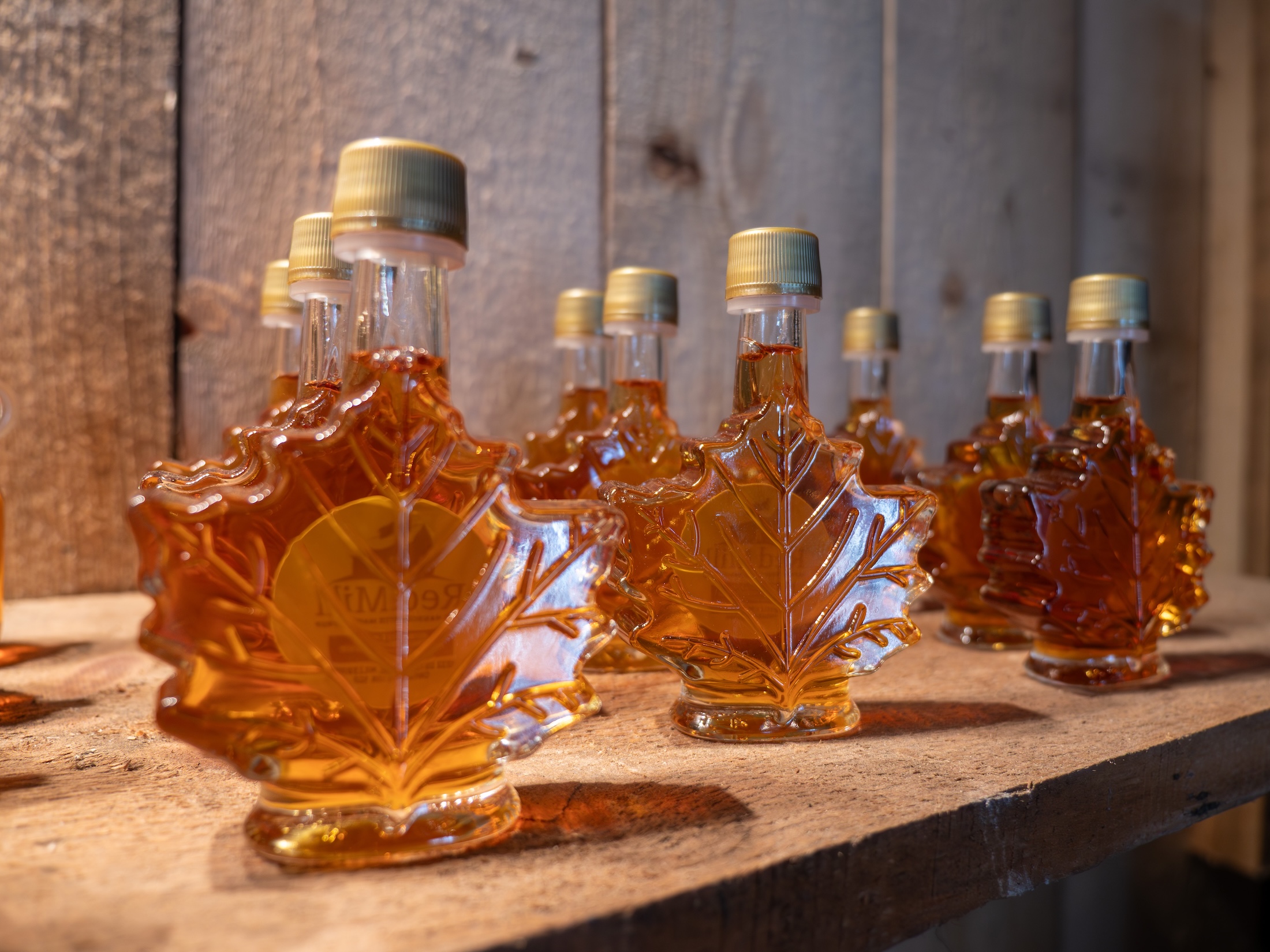 Several small glass bottles shaped like maple leaves, filled with maple syrup