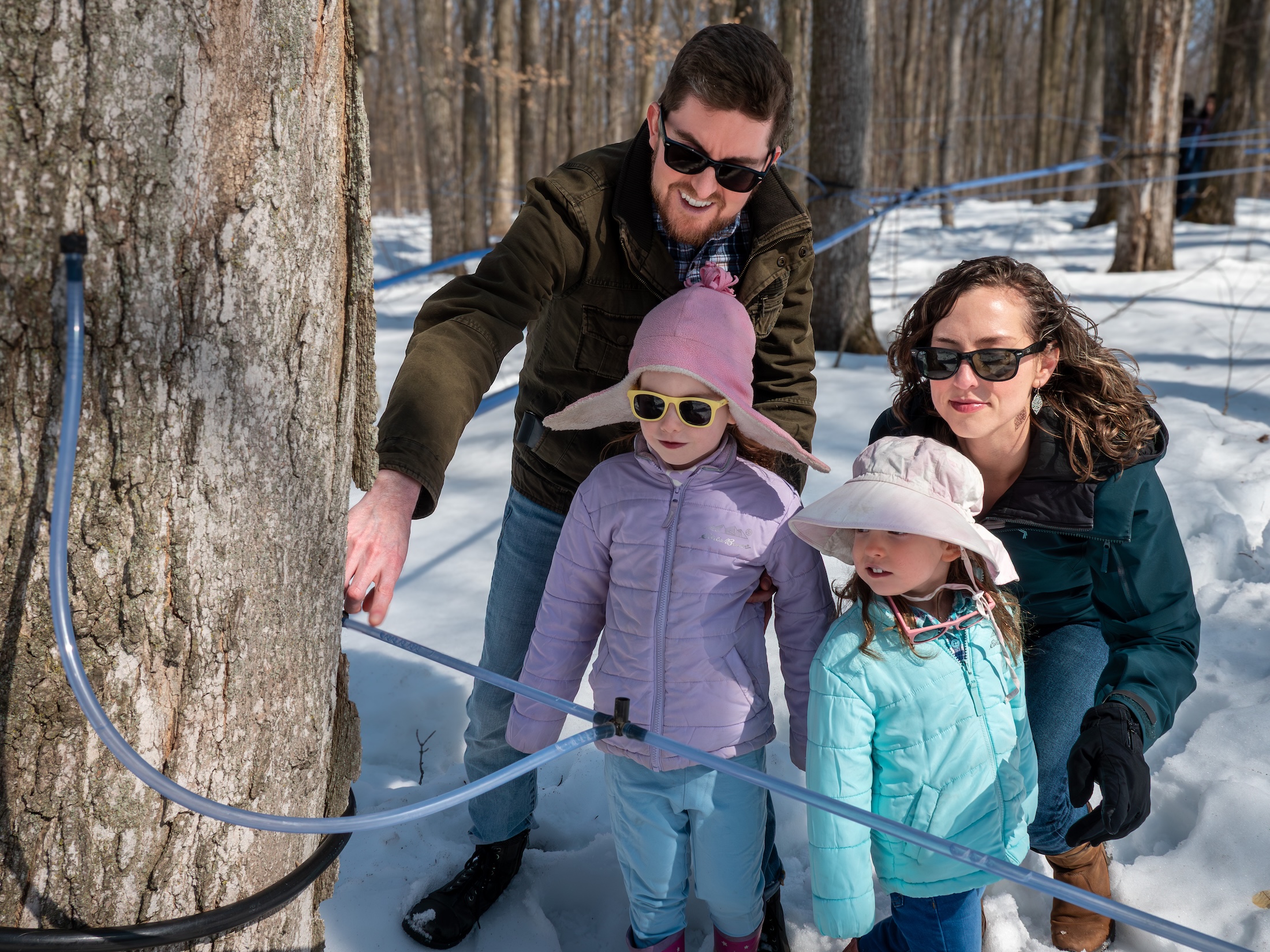 A man, woman, and two children inspect the tap lines in a sugarbush