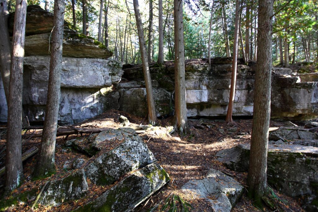 Slabs of rock surrounded by cedar trees