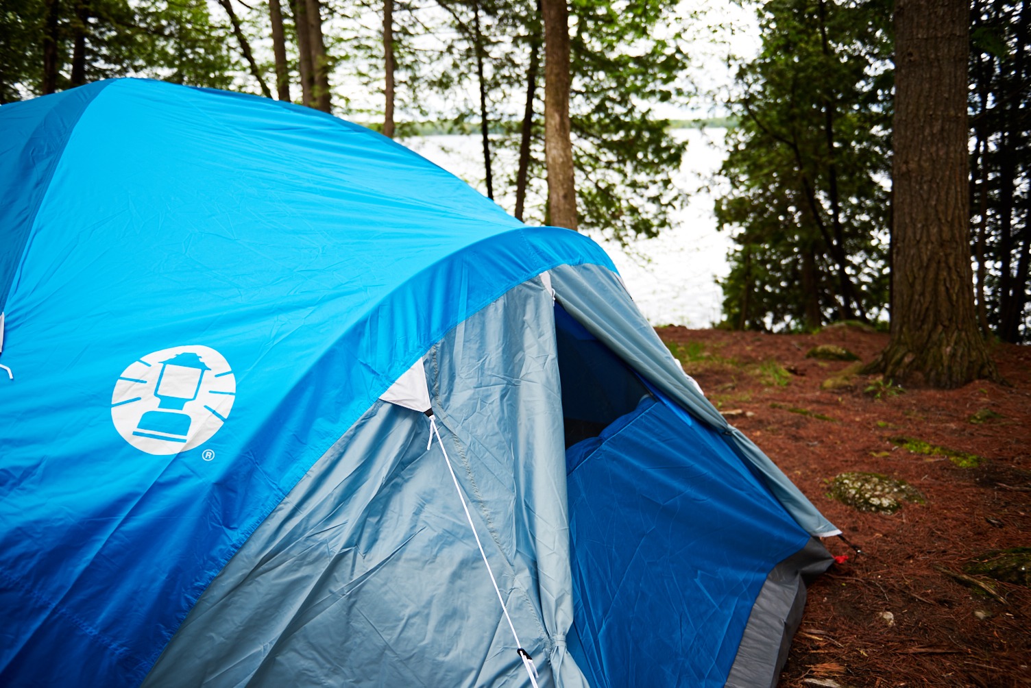 A blue tent in the foreground, trees and lake in the background