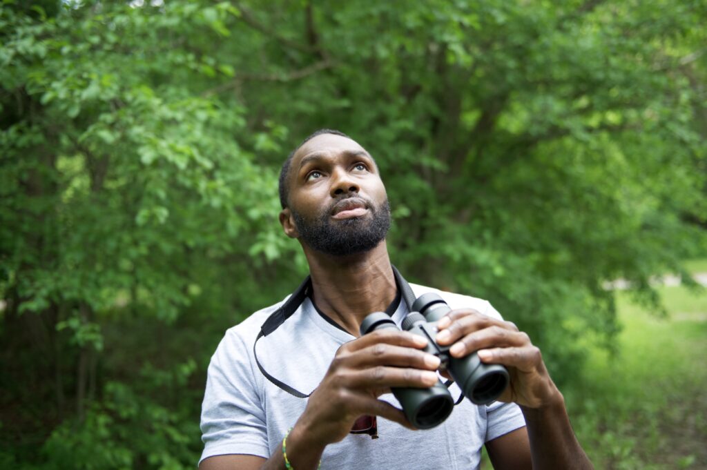 A man standing in the woods looks upward and lowers his binoculars