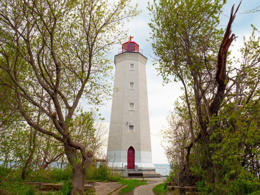 A white and red lighthouse, neatly framed between curving branches
