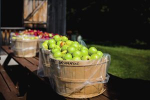 A basket of apples in the foreground, with more on a table in the background