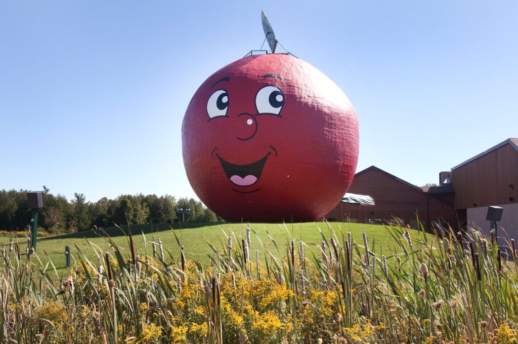 Roadside attraction-sized apple with face painted on it